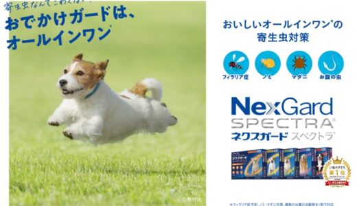 ネクスガードスペクトラは老犬に与えても問題なく安全！最安値で購入できる所どこ？