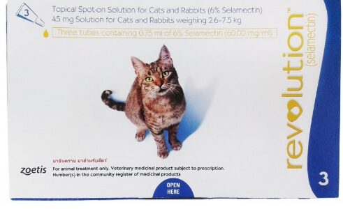 レボリューションの猫用と犬用も最安値で購入できる所や口コミ評価や効果など徹底調査