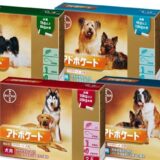 アドボケートは猫や犬の寄生虫対策に効果があり口コミ評価も高い！最安値で買えるサイトは？