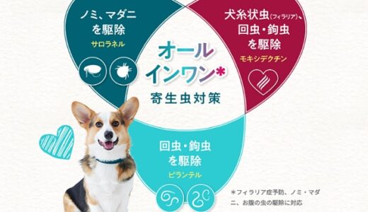 シンパリカトリオはフィラリア予防の成分がプラスされた薬！口コミ評価など徹底調査