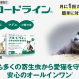 ブロードラインを最安値で購入できるサイトとどんな猫にオススメ出来るかを徹底調査