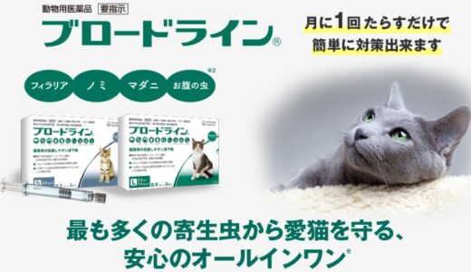 ブロードラインを最安値で購入できるサイトとどんな猫にオススメ出来るかを徹底調査