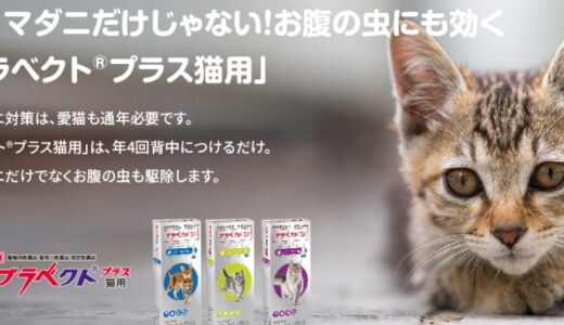 ブラベクトプラスは猫のノミやマダニ以外の寄生虫にも効果を発揮して口コミの評価も抜群